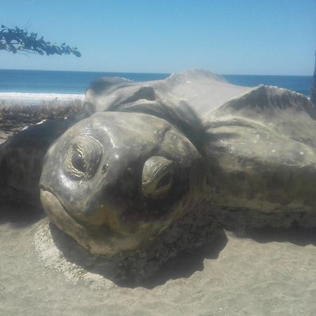 Las Cabinas De Veronique Venado ภายนอก รูปภาพ
